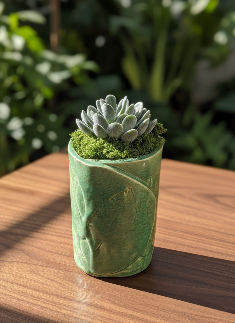 Ceramic Succulent Vase