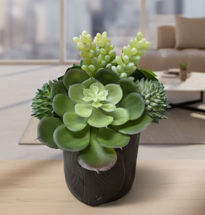 Ceramic Succulent Vase