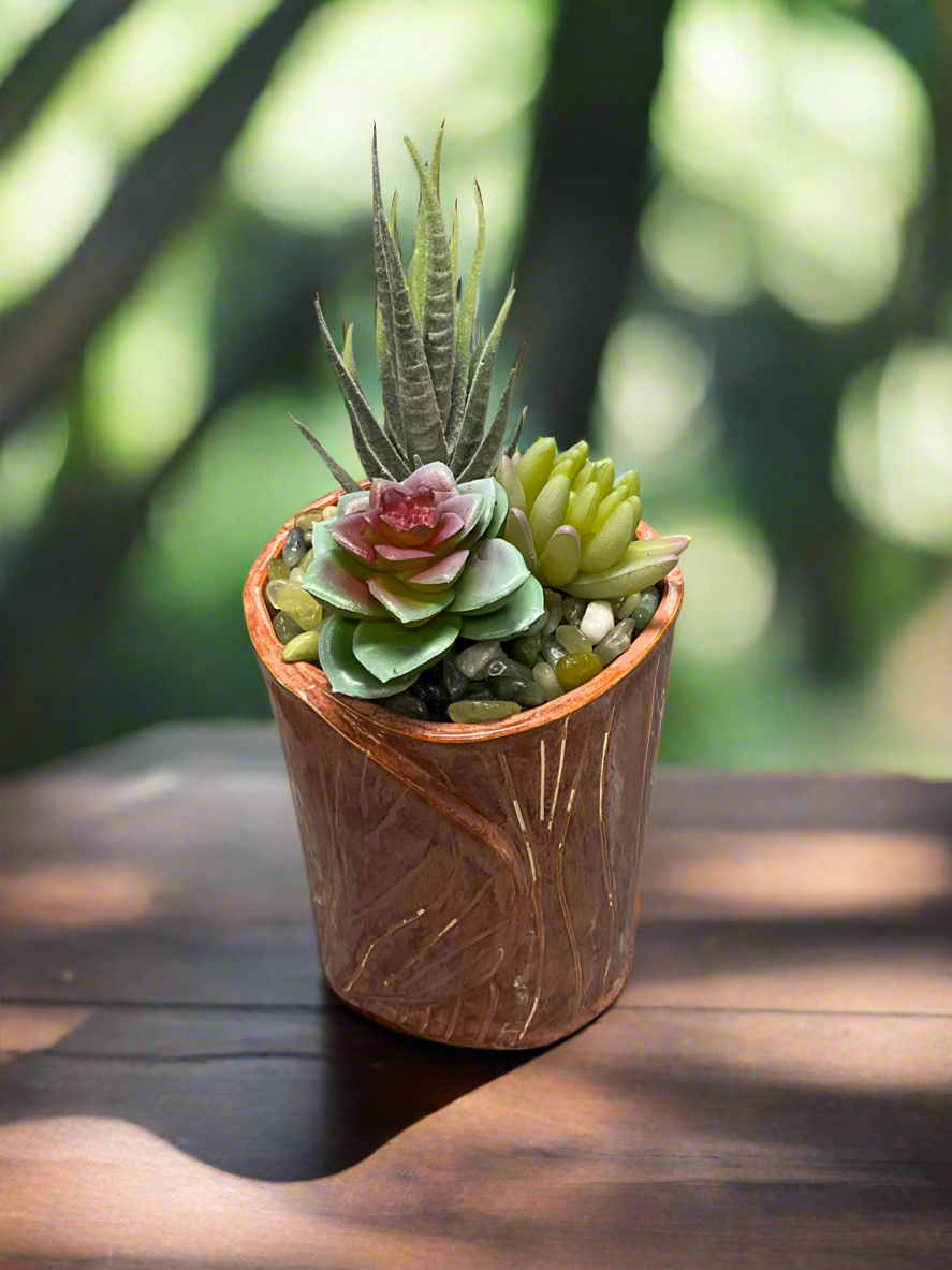 Ceramic Succulent Vase