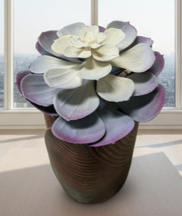 Ceramic Succulent Vase