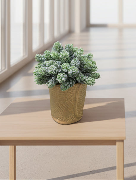 Ceramic Succulent Vase