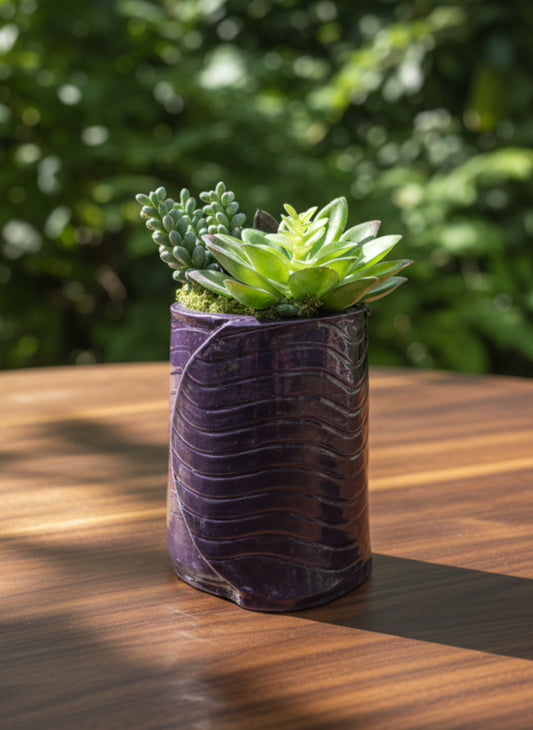 Ceramic Succulent Vase